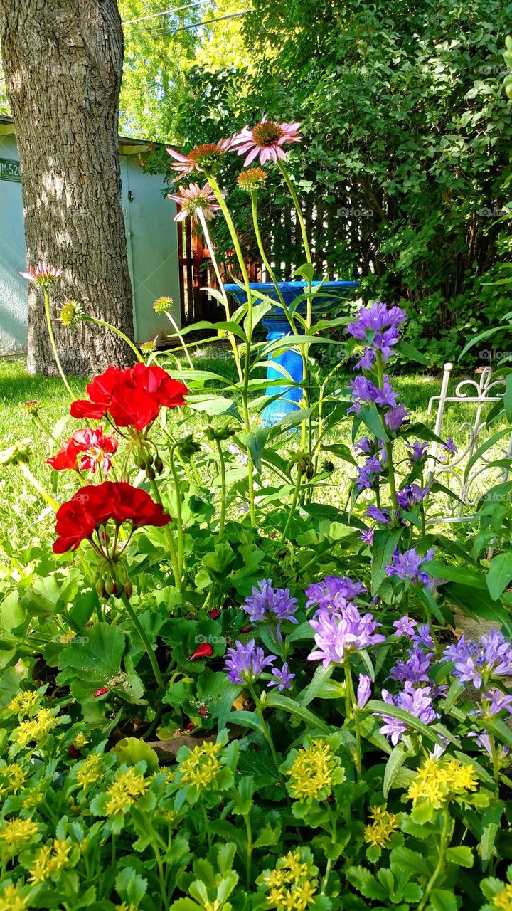 Natures amazing beauty spelled out in a garden.