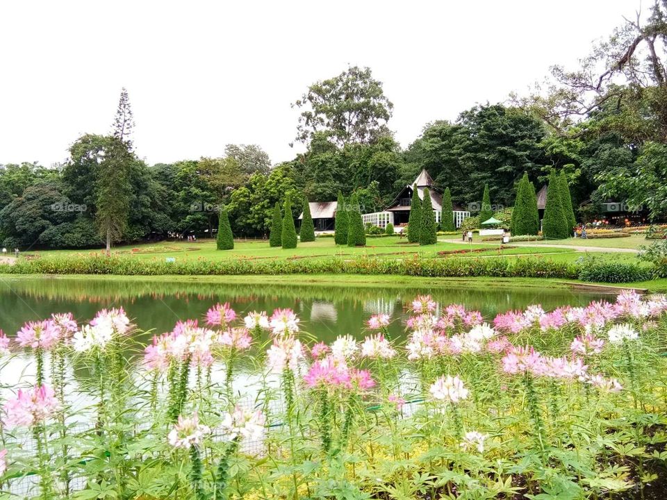 When flora and nature stunningly blossoms at its finest season of the year.