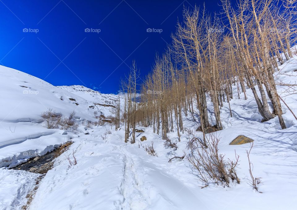 snowland and blue sky