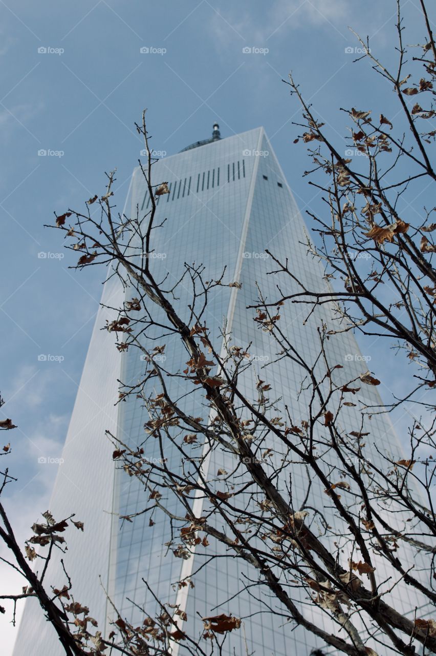 7 World Trade Center in New York City