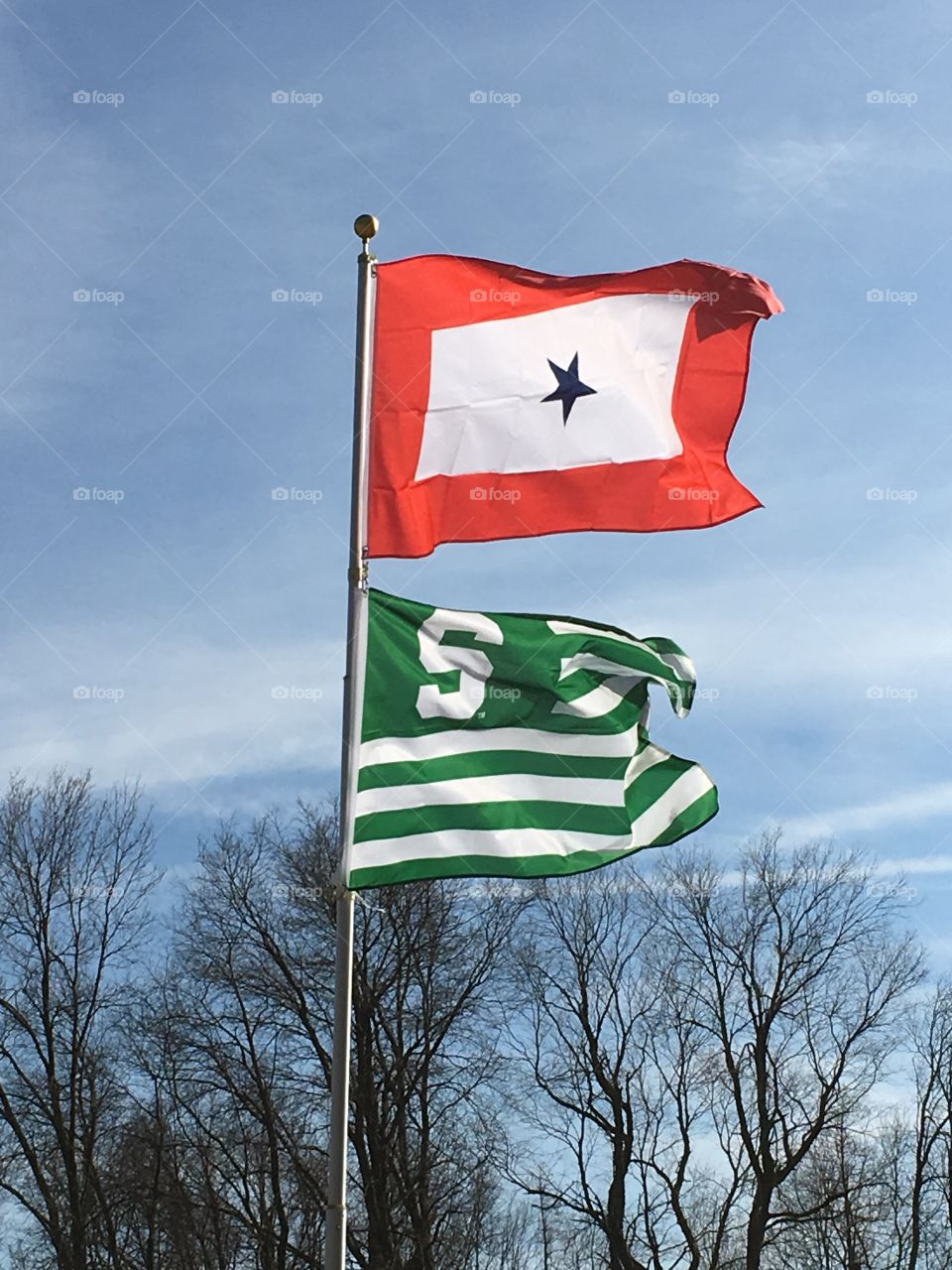Display of family pride, respect, honor as our flags blow in the Michigan spring winds.