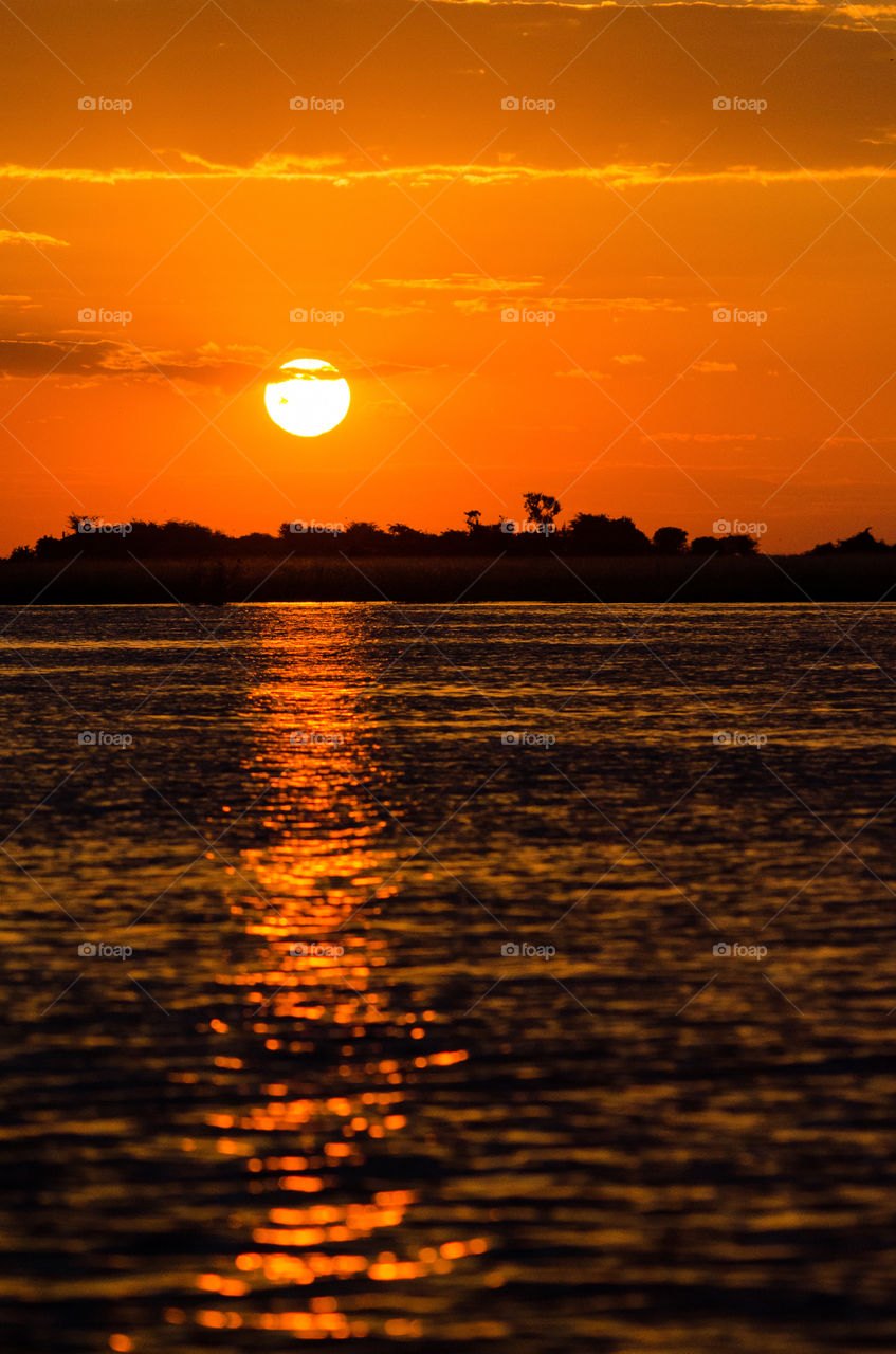 Amazing sunset with sun and clouds over the Chobe river in Botswana, Africa. Orange colors on the river. Trees silhouetted on the horizon.
