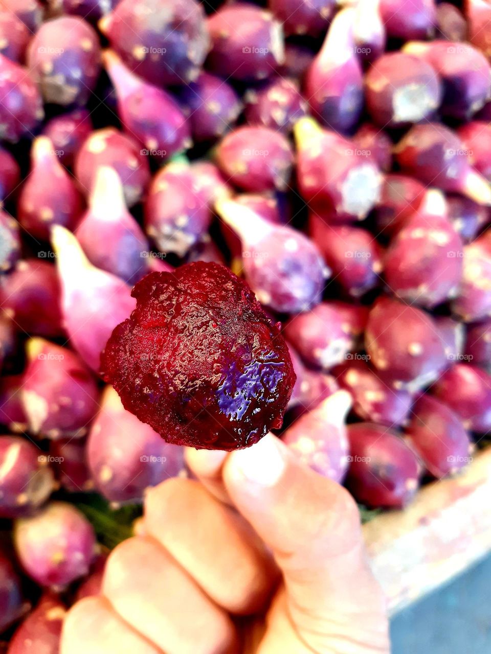 A close-up of purple and green cactus pears, highlighting their natural imperfections and textures. Captured at a market in Casablanca on January .2025
