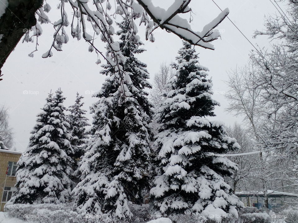 Snow goes in the Moscow region