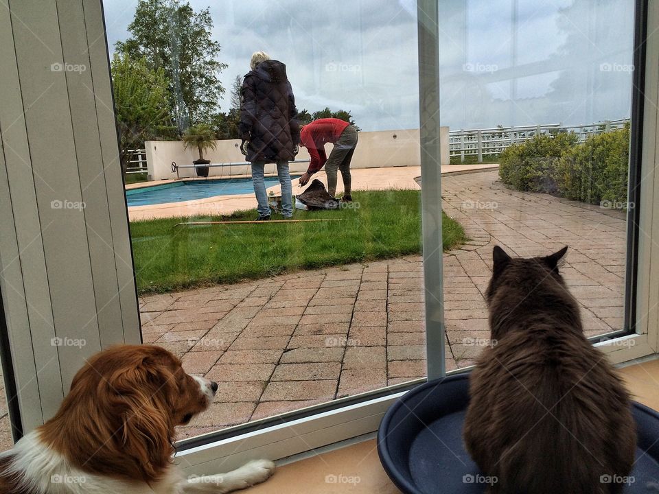 Looking out at people gardening