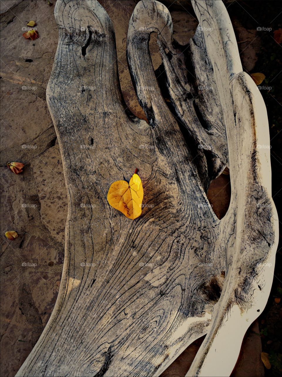 Wooden bench. Wooden bench