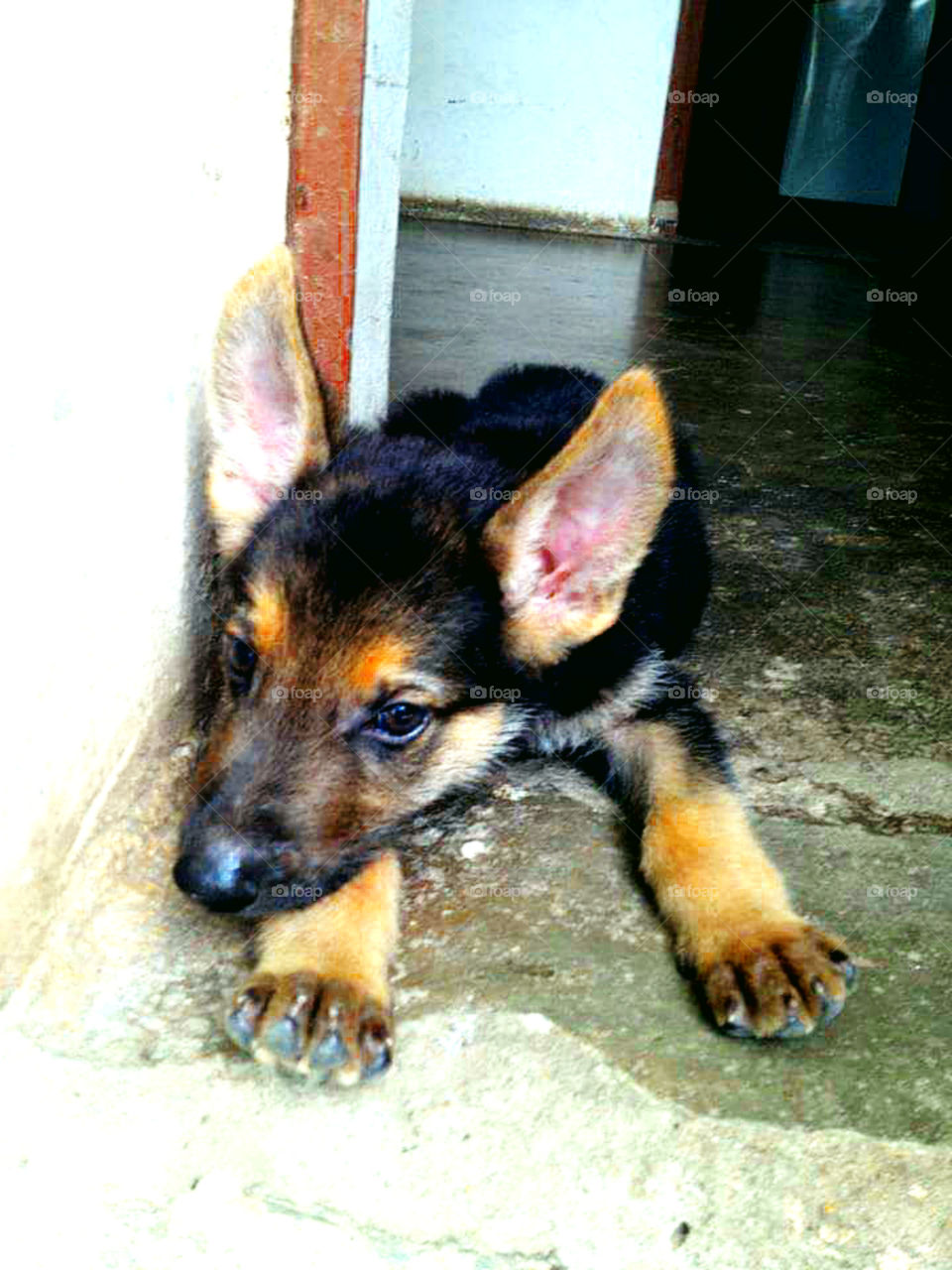 Not in a good mood. Looking upset.