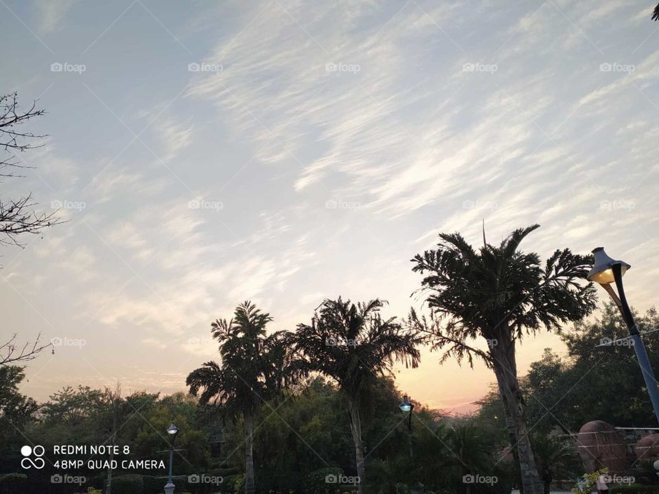 sunset is the perfect time