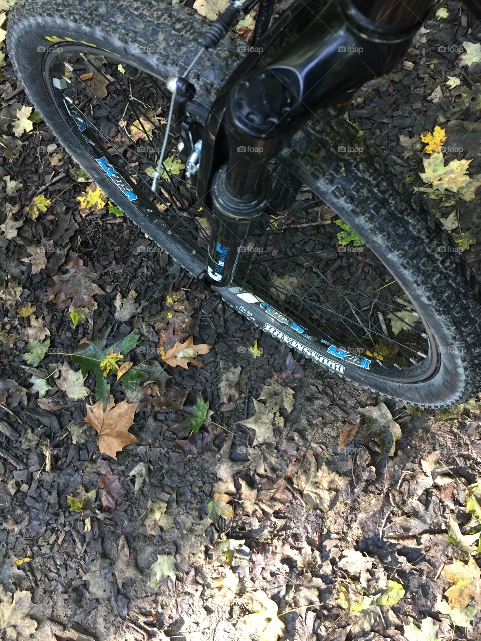 Cycling through Fall.