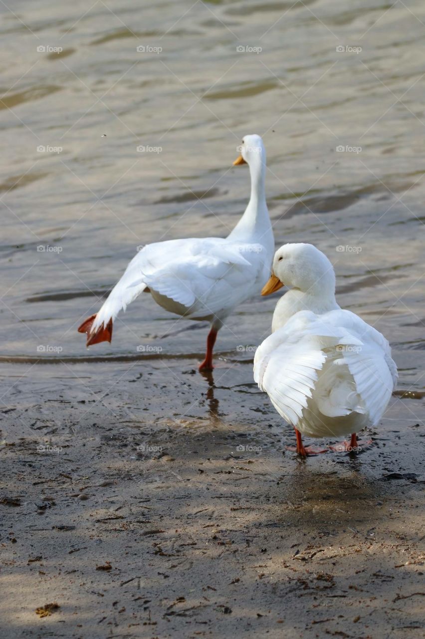 You been drinking again