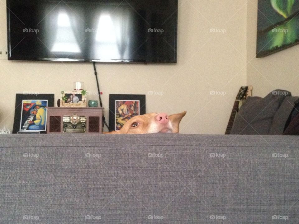 We really don't look pretty taking nap