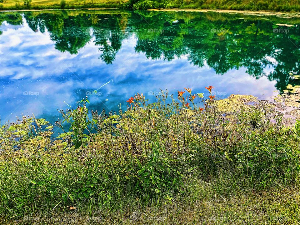 Reflections in the water, sky and trees reflecting in the pond, ponds in Ohio 