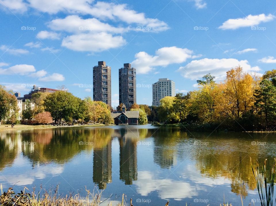 The Harlem Meer, named after the nearby neighborhood of Harlem and the Dutch word for "lake" The towers in the background are reflected in the lake.