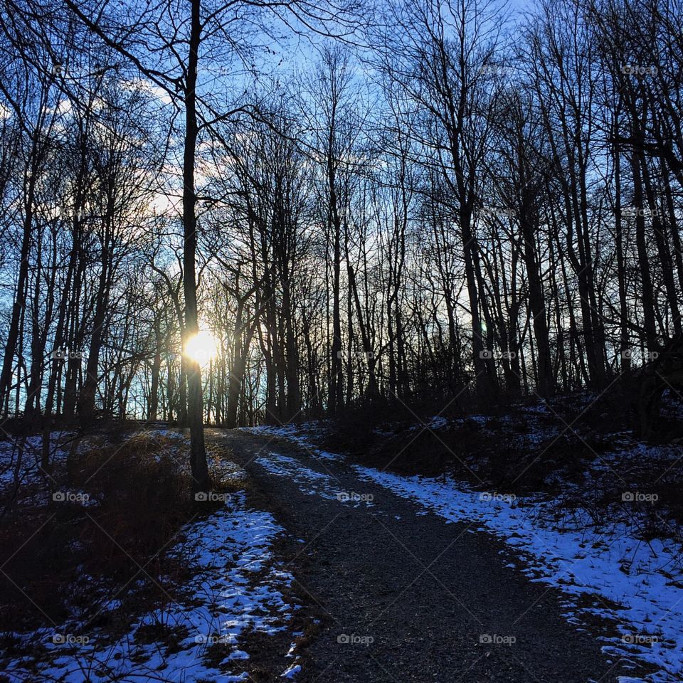 "What we see depends mainly on what we look for.” ~John Lubbock