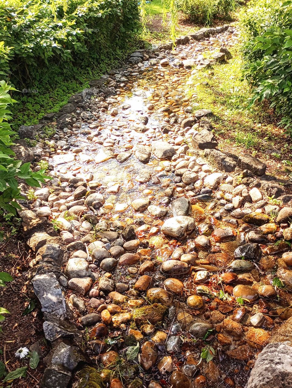 Stream of Rocks