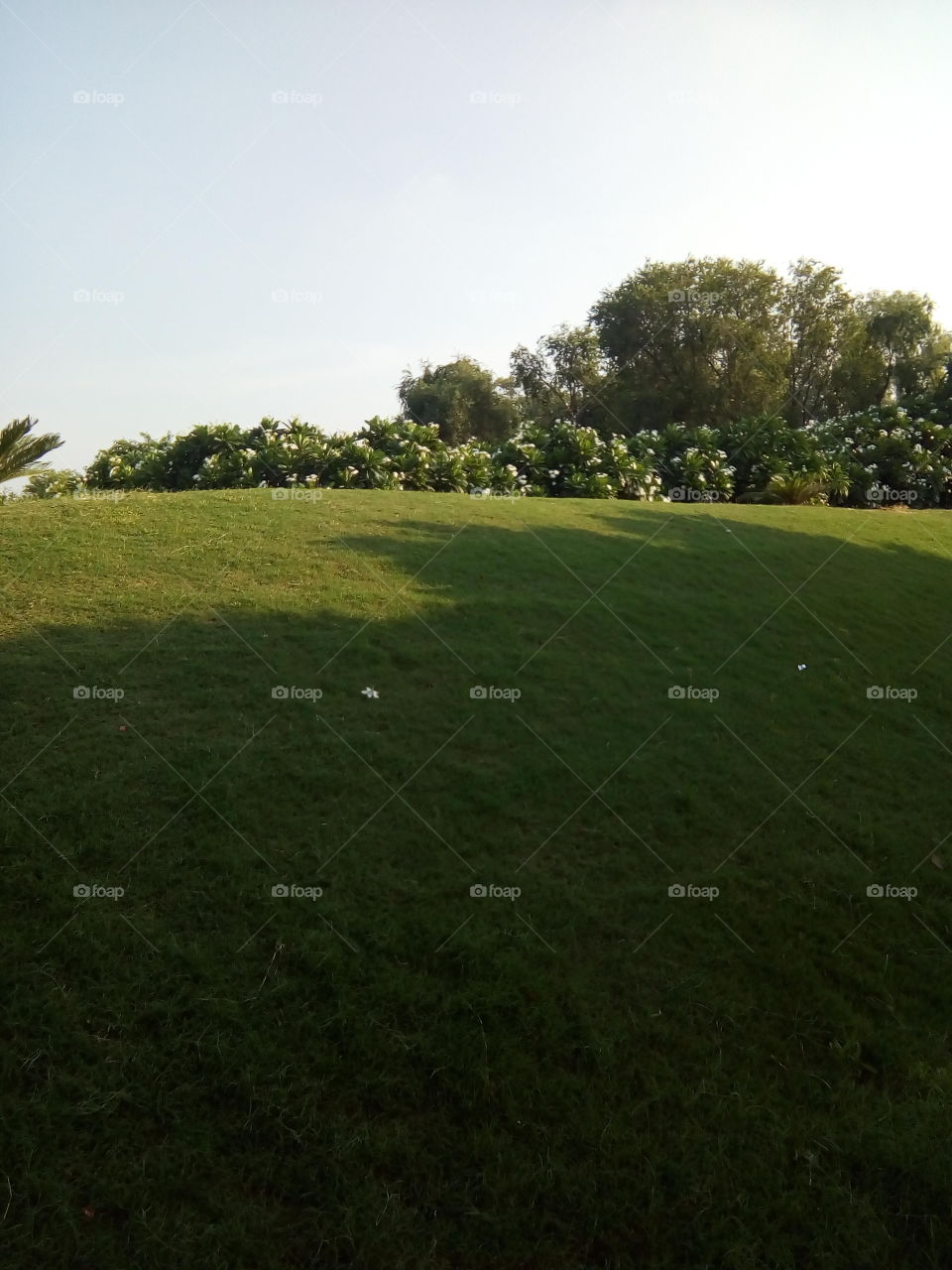 beautiful sight in a garden