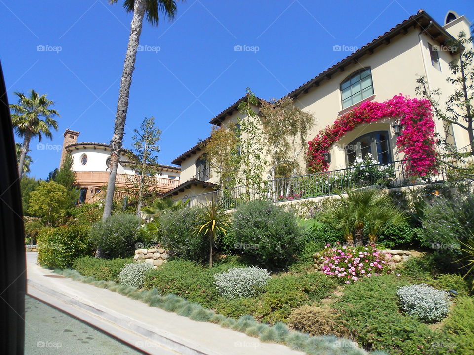 Beautiful Cali  House & Landscape, LA