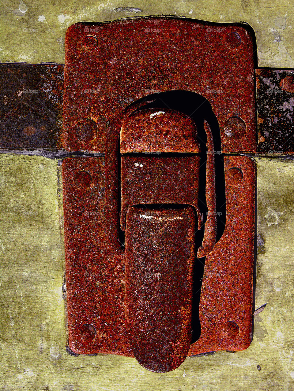 macro photography rust california by probie15