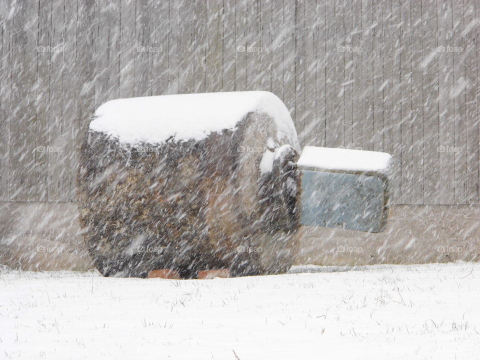 Snow White and big wood or big stone from frame