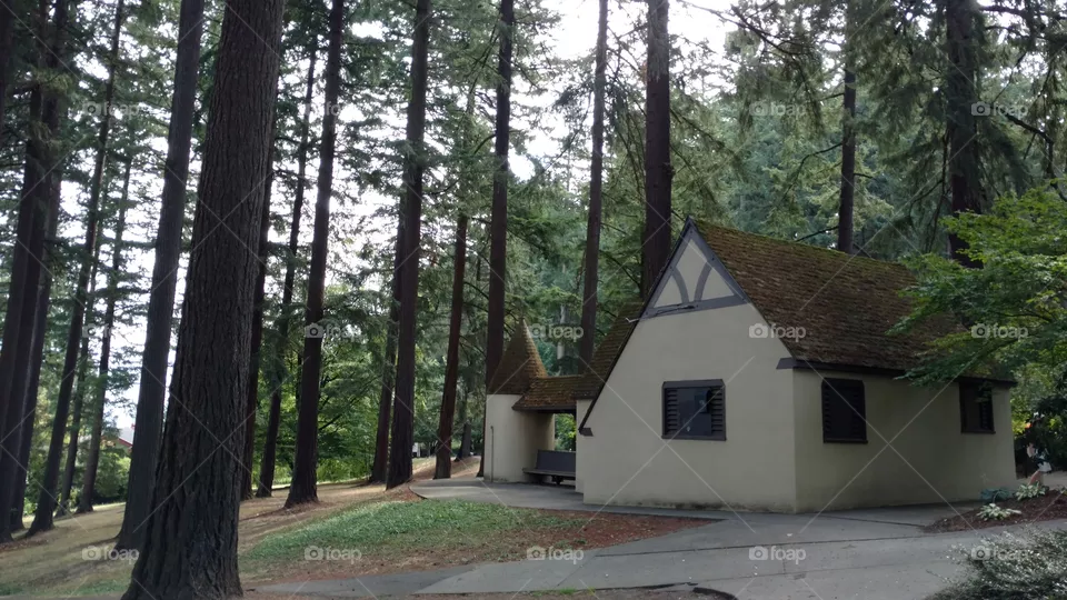 Wood, Tree, Landscape, No Person, House