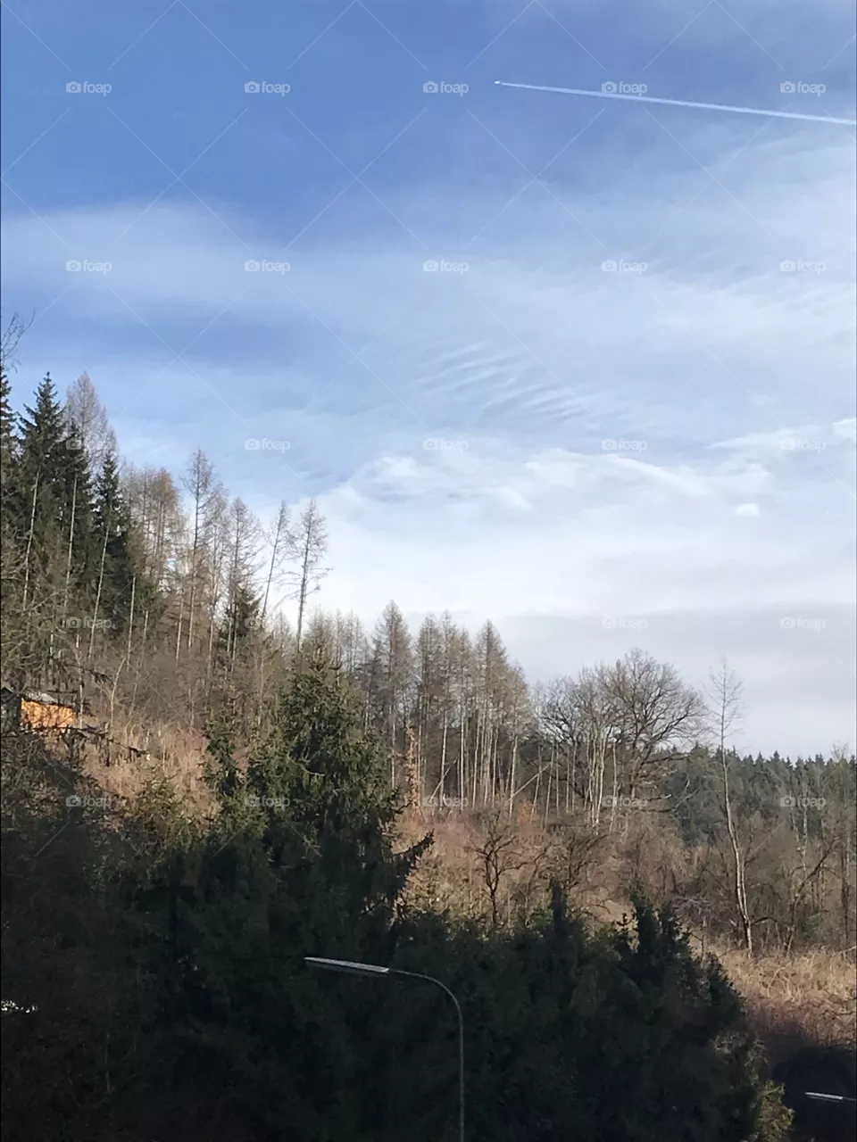 Ausblick
