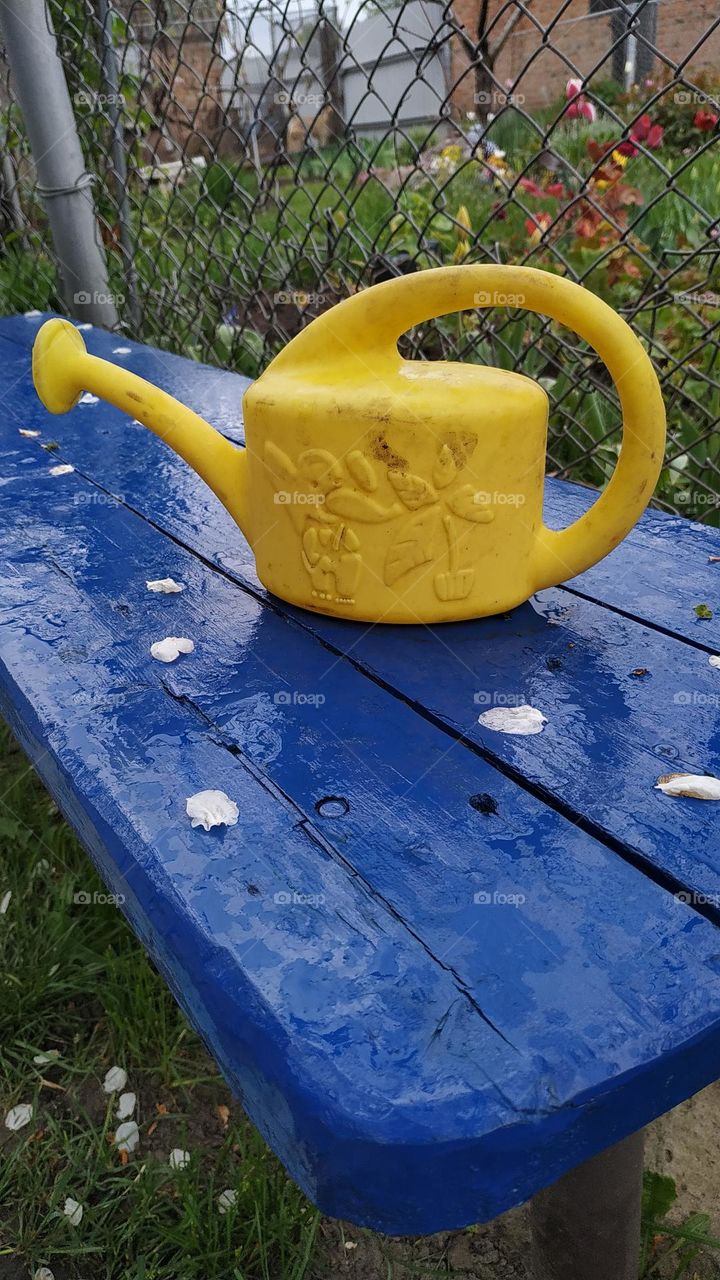 blue ang yellow 💙💛