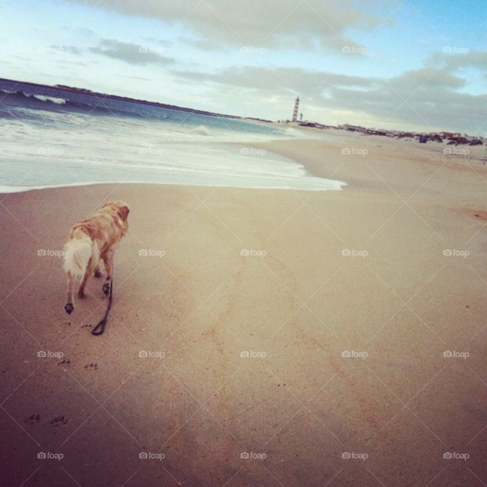 aveiro beach pretty summer by Zita