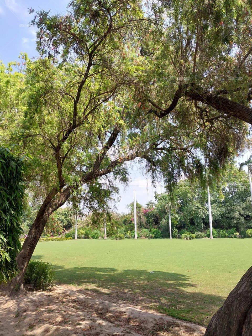 That looks like a peaceful and scenic spot! The flags add a nice touch to the serene setting. It seems like a perfect place to relax and enjoy nature. 🌳🚩