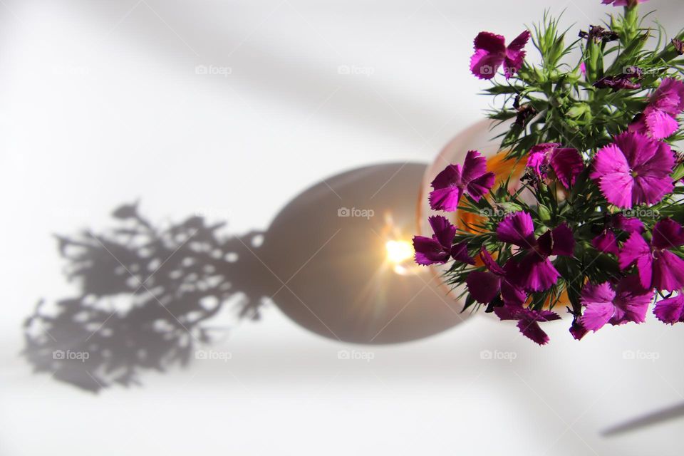Beautiful purple wild flowers in white, pink, purple and brown vase with sun shining through