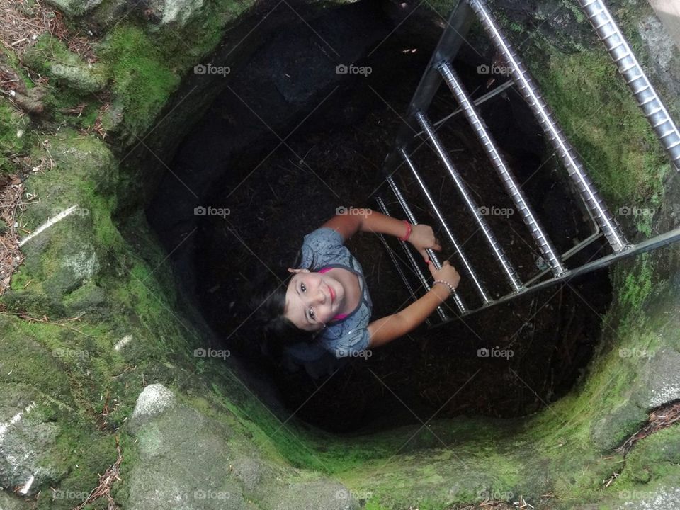 Trail of two forests