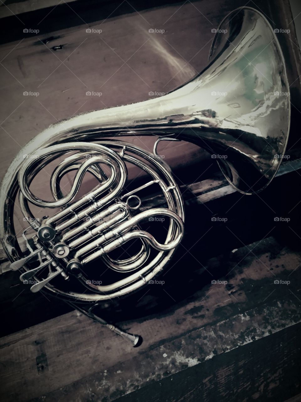 French horn. French horn