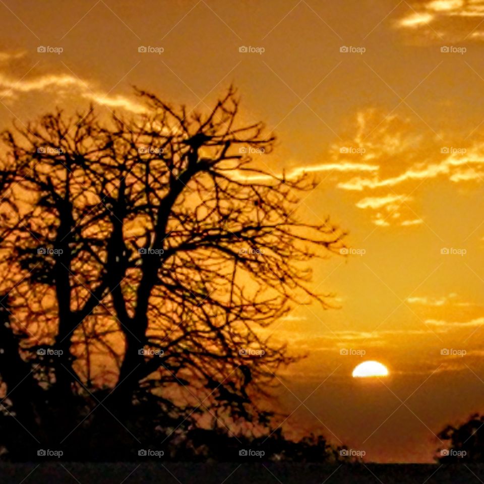 sunset in the desert