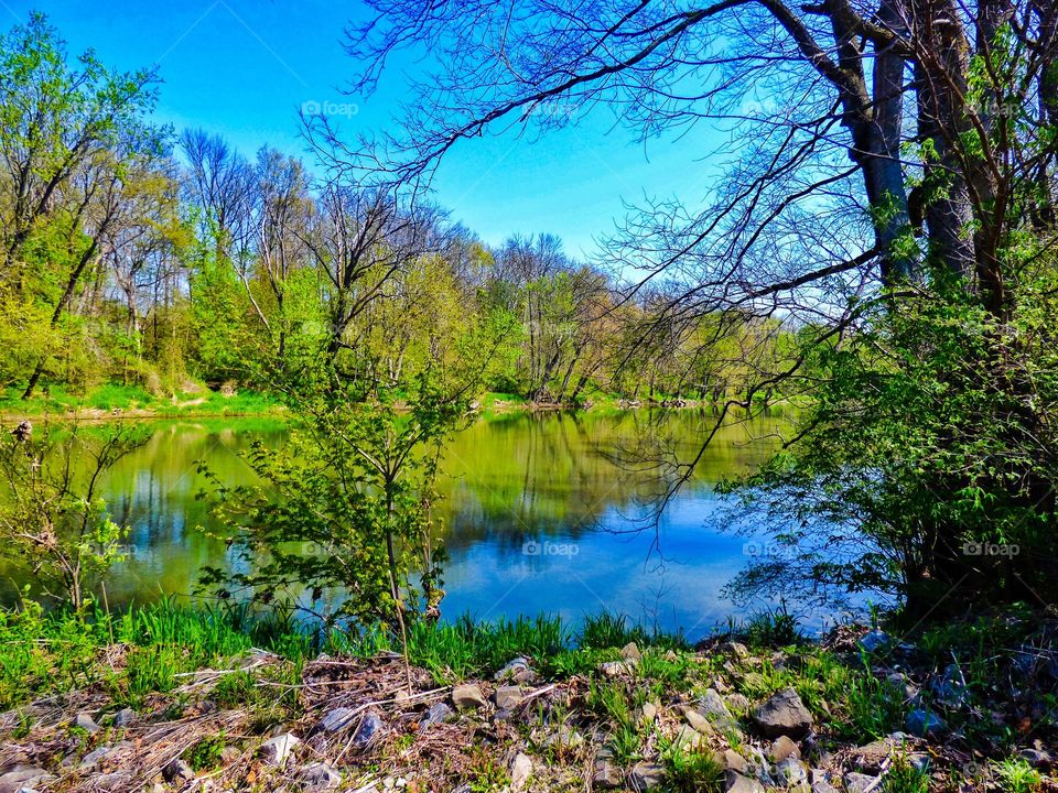 Spring on the white river