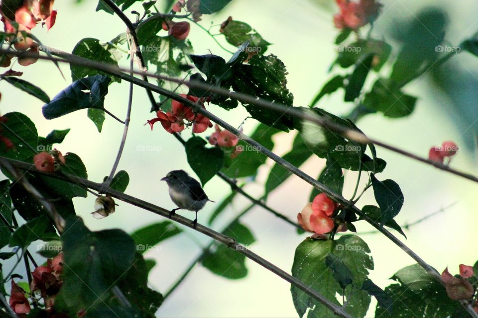 Editors' Choise: Photo of the Week