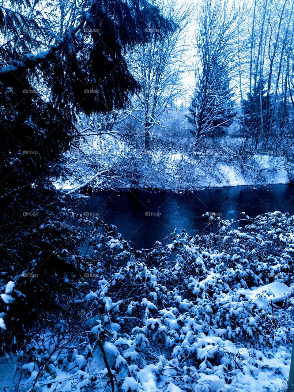 A beautiful river surrounded by snow covered trees and a riverbank on a wintery day .