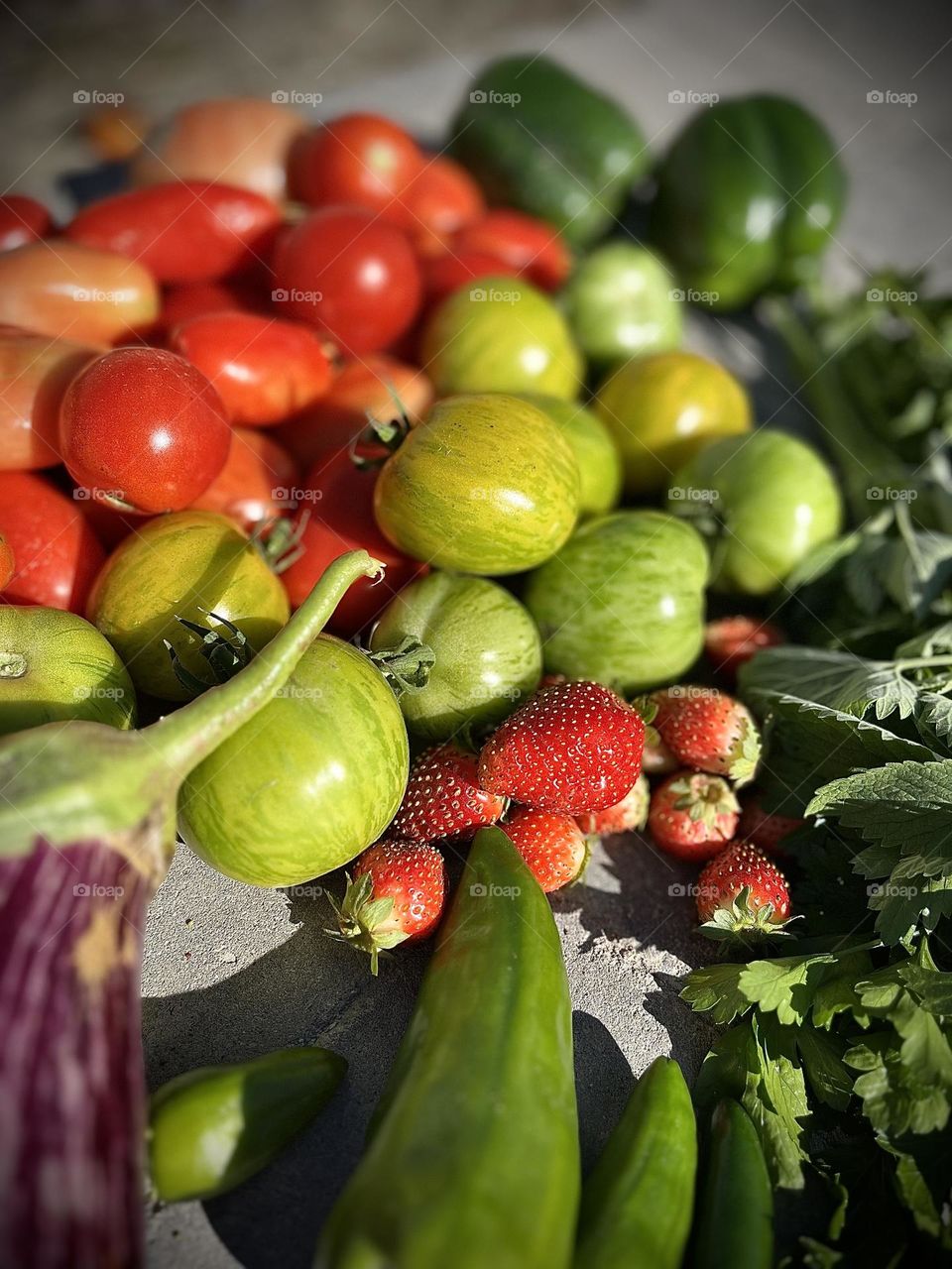 Vegetables and fruit from my garden just picked in the autumn tomatoes strawberries eggplant peppers and herbs 🌿