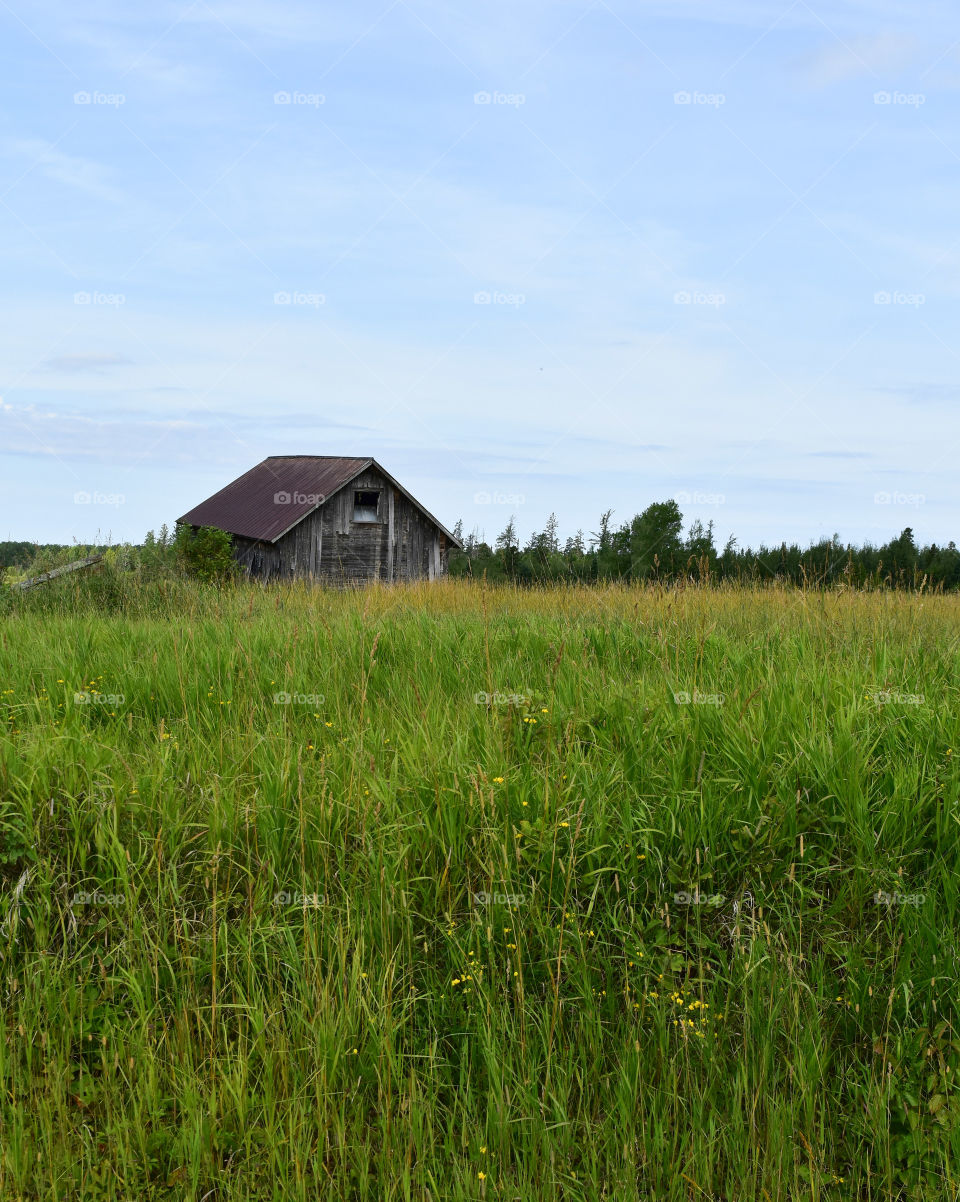 Rustic log cabin in a meadow