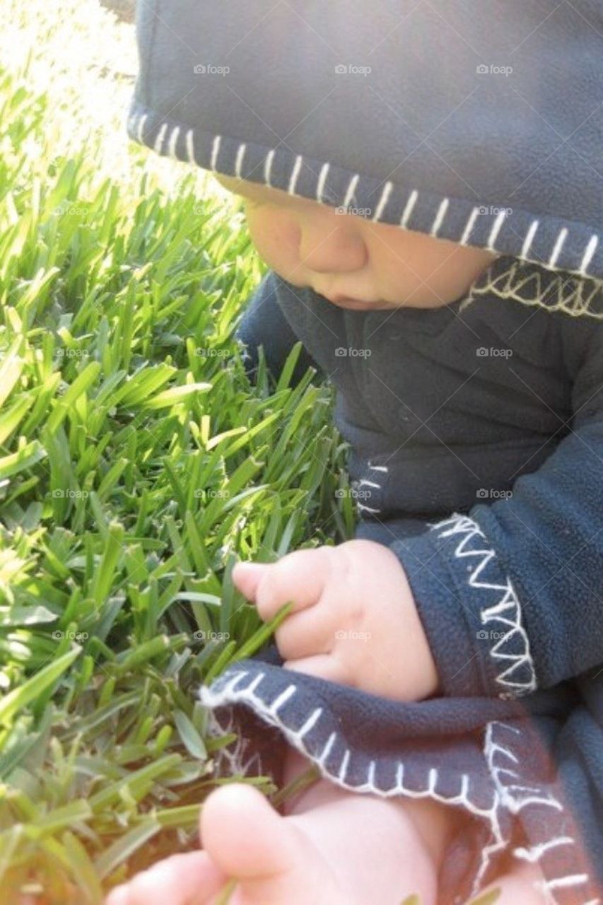 Playing in the green grass