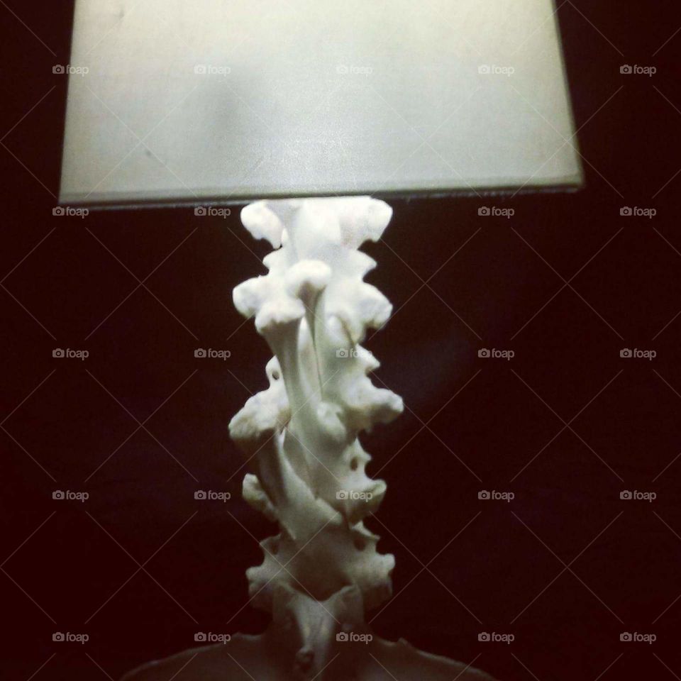 on of my creations spine lamp