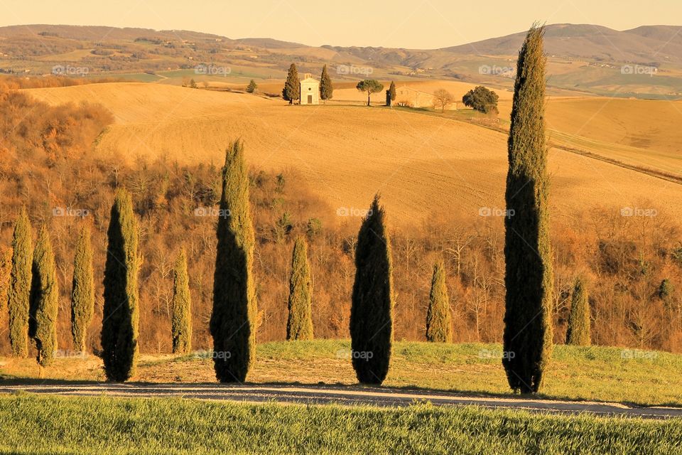 evening in Tuscany