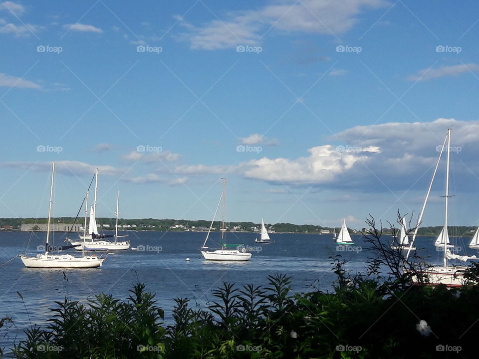 Coastal in Maine with sailboats