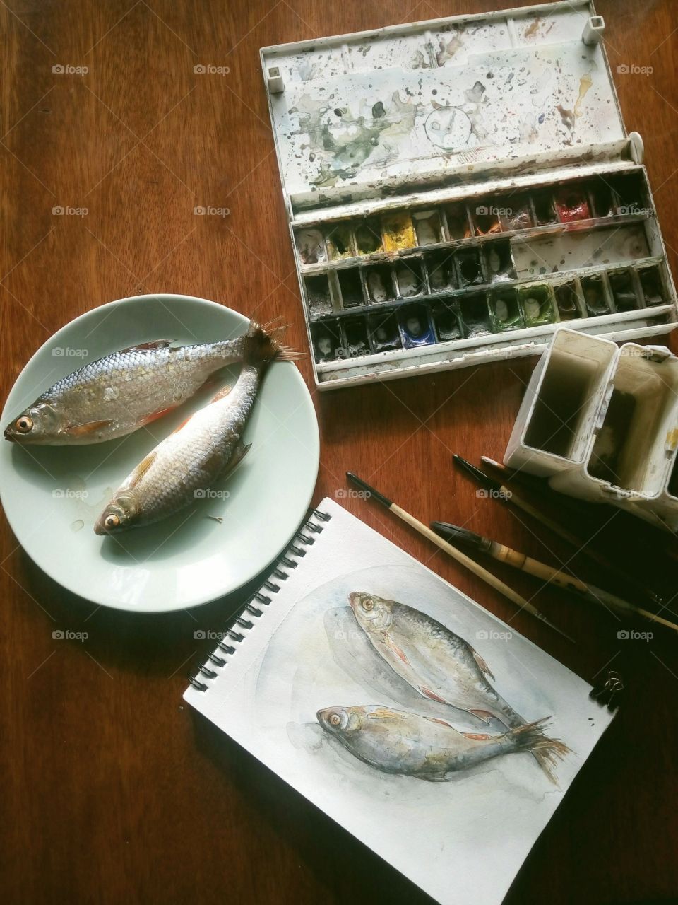 рыба на тарелке и её рисунок ,краски кисти и вода