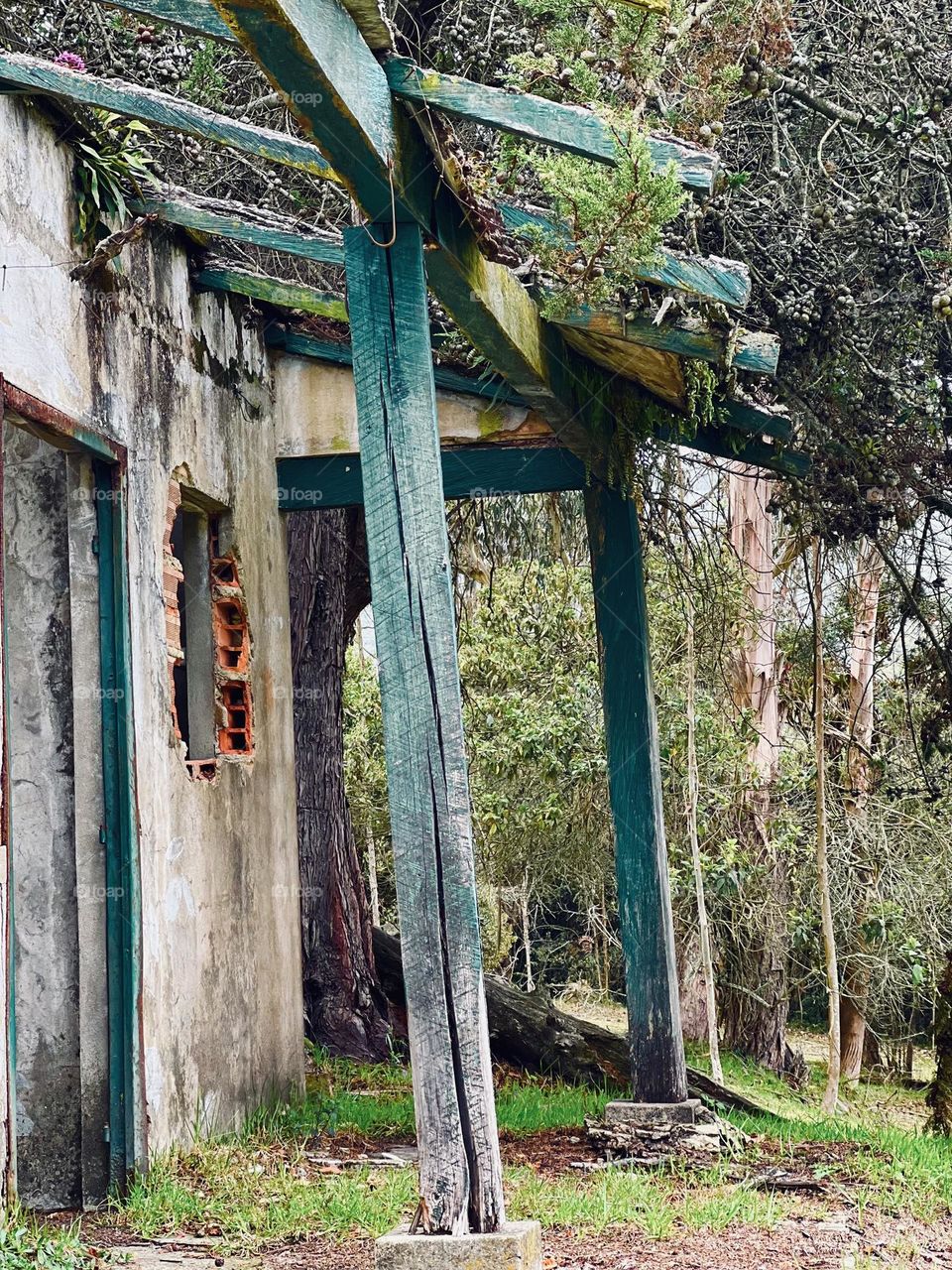 Columns of an abandoned house