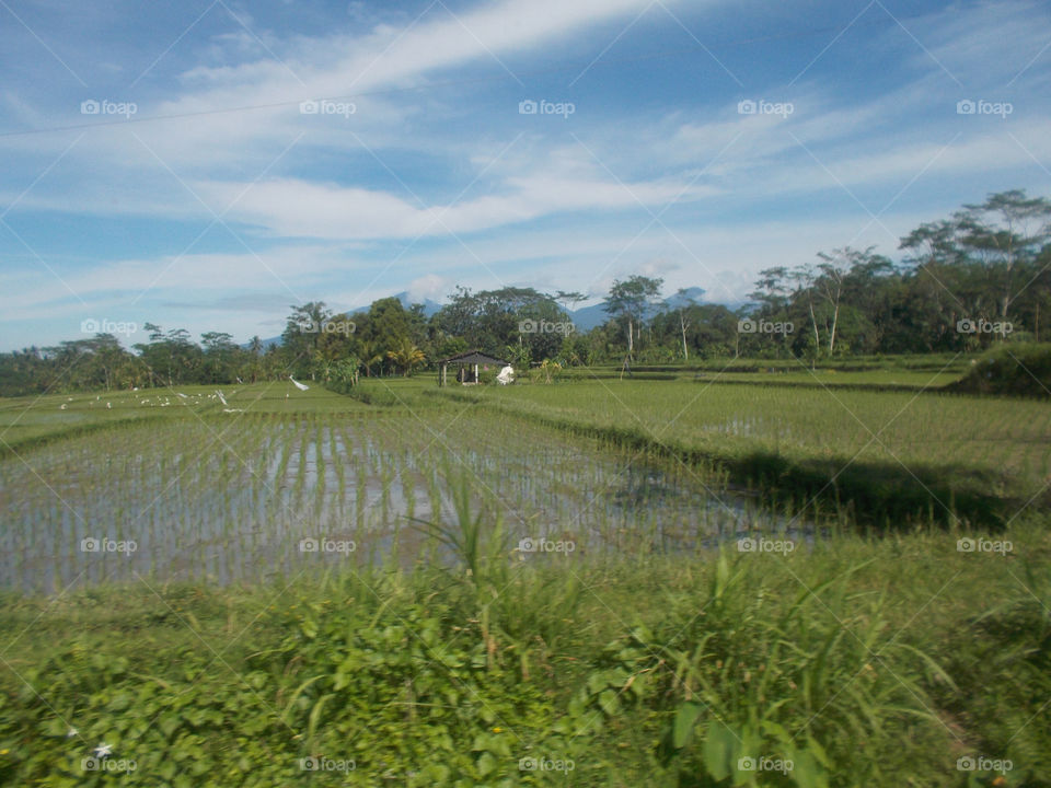 Indonesia