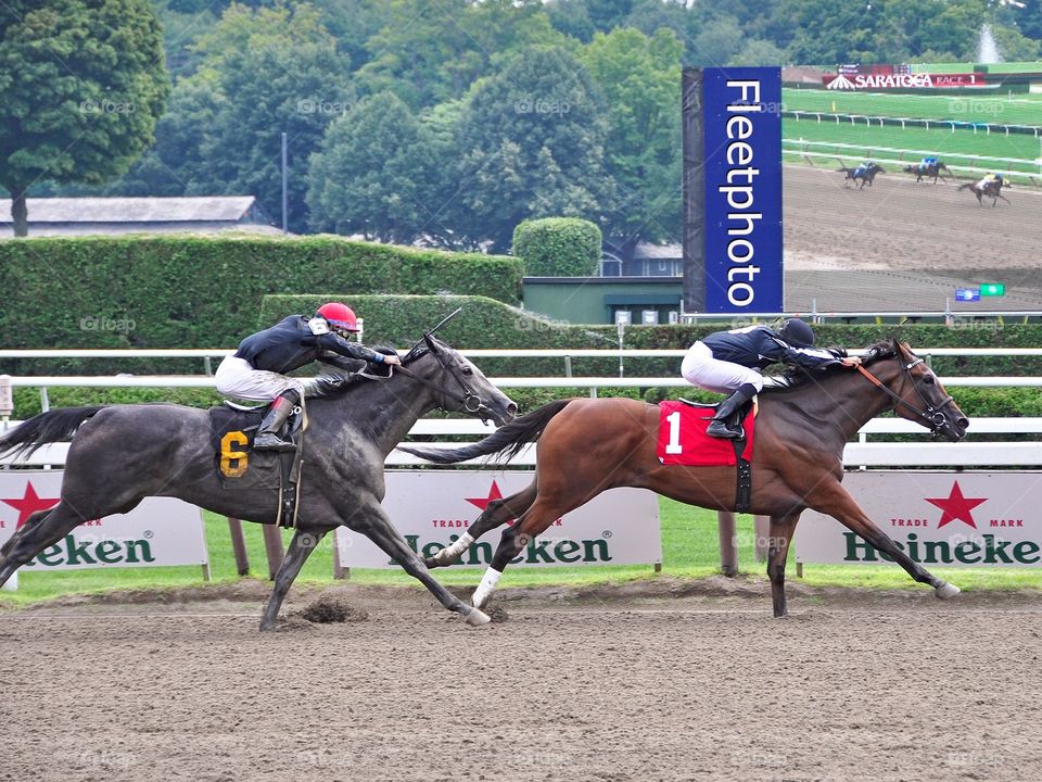 Theophilia Wins. Theophilia, a bay filly with a long stride, takes the lead over the gray Carrumba to win the first race at Saratoga. 