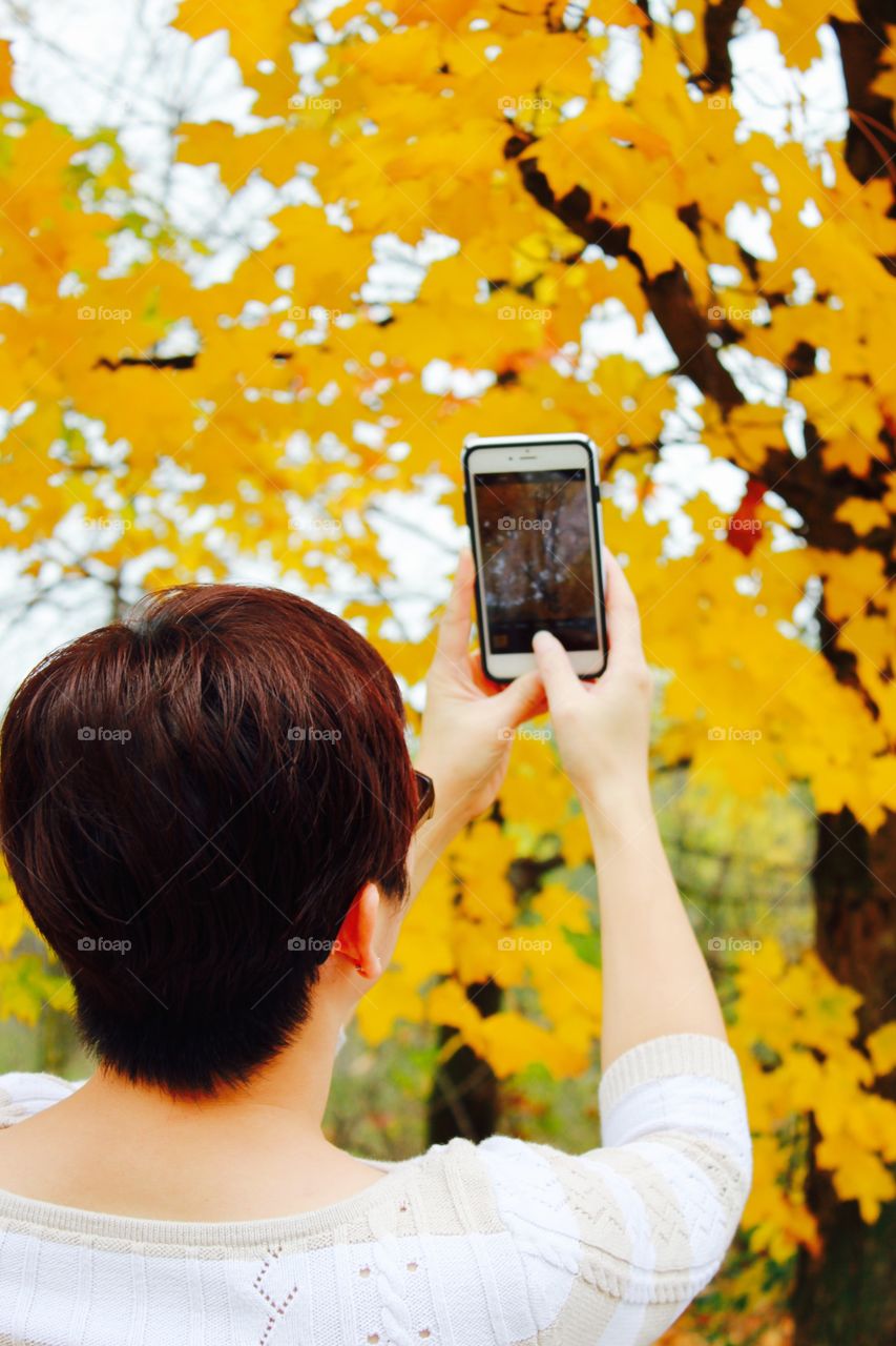 Rear view of man photographing autumn trees