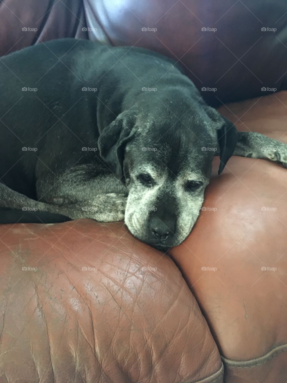 Please pray for me, I have a tumor on my bladder and I need an ultrasound done.$650.00