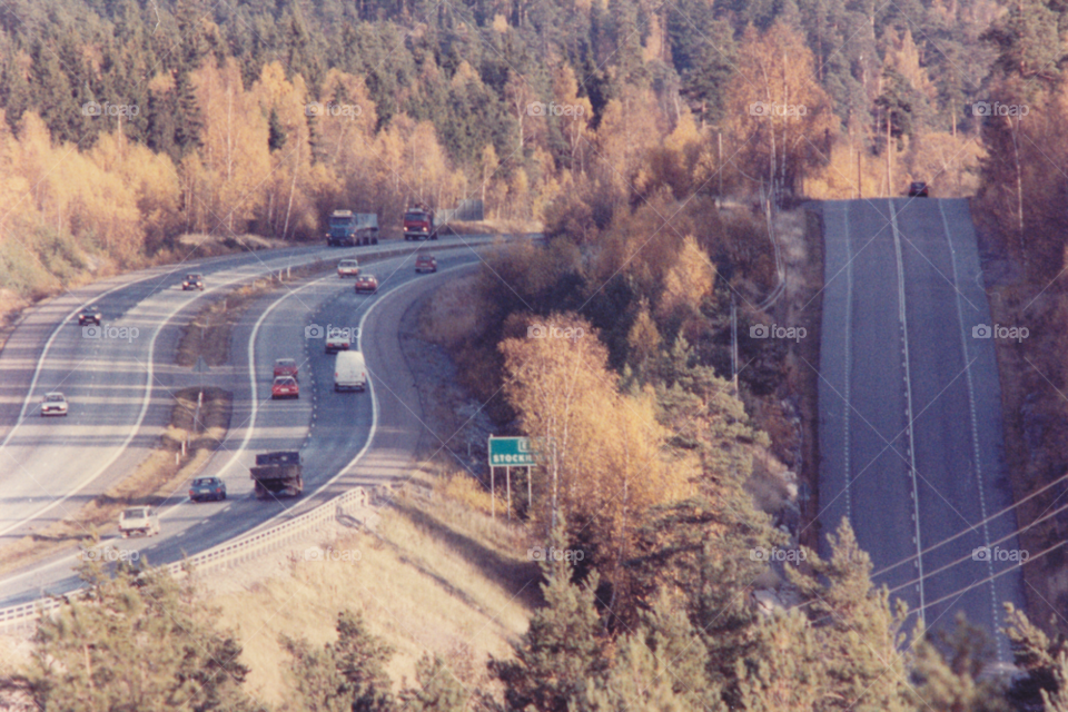 forrest cars road autumn by MagnusPm