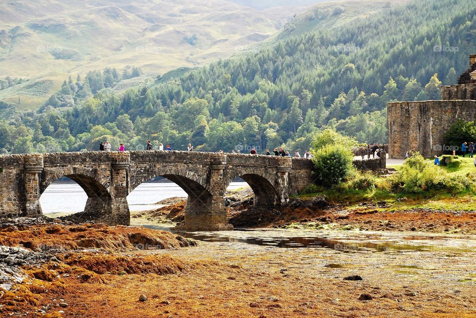 Castle bridge