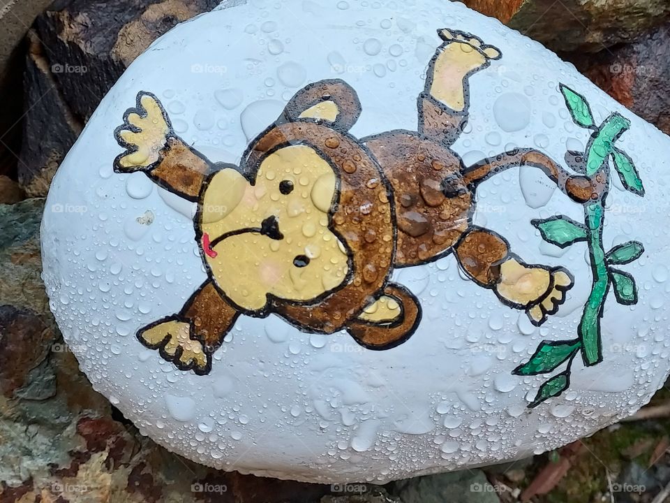 monkey play painting on a raindrop Rock in Auburn California